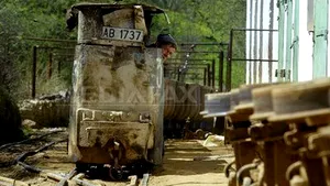 State’s Stake In Rosia Montana Might Be Raised If Romania Adopts Laws Supporting Mining Cos