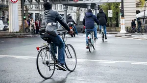 „Vinerea verde”, varianta românească