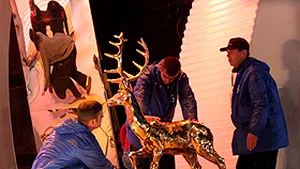 Festivalul Cerbul de Aur va avea o ediţie aniversară în iulie 2008