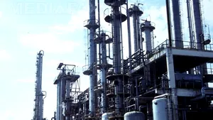 Peste 300 de angajaţi ai Diviziei Petrochimice Bradu protestează nemulţumiţi de neplata salariilor