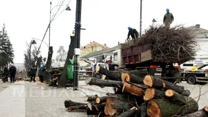 Primarul din Iaşi: În locul teilor nu vor fi plantaţi copaci înalţi. A fost amenajat pietonal pentru spectacole