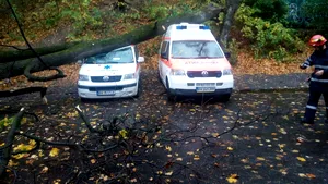 COD GALBEN de ploi şi vânt în Bucureşti şi Ilfov. Un copac a căzut peste cinci maşini