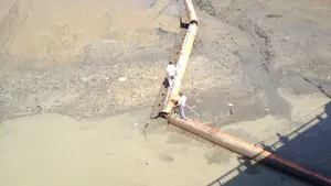 FOTO Zeci de persoane au intrat în mâl să adune peşte, după ce un lac de acumulare a fost golit