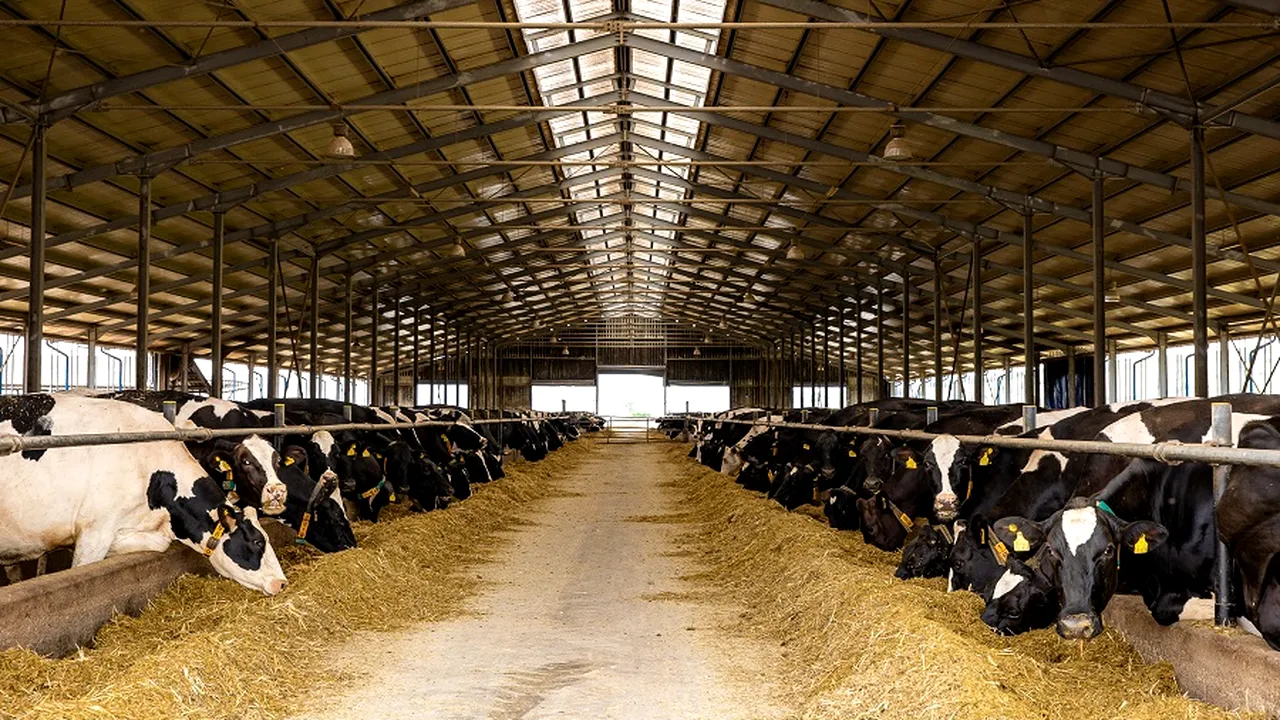 DN AGRAR, cea mai mare fermă zootehnică integrată din România