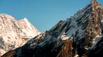 O pasăre din Himalaya, nevoită „să ridice tonul” din cauza zgomotului produs de turiști