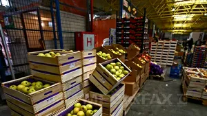 Toate importurile de fructe din Turcia vor fi supuse controlului amănunţit