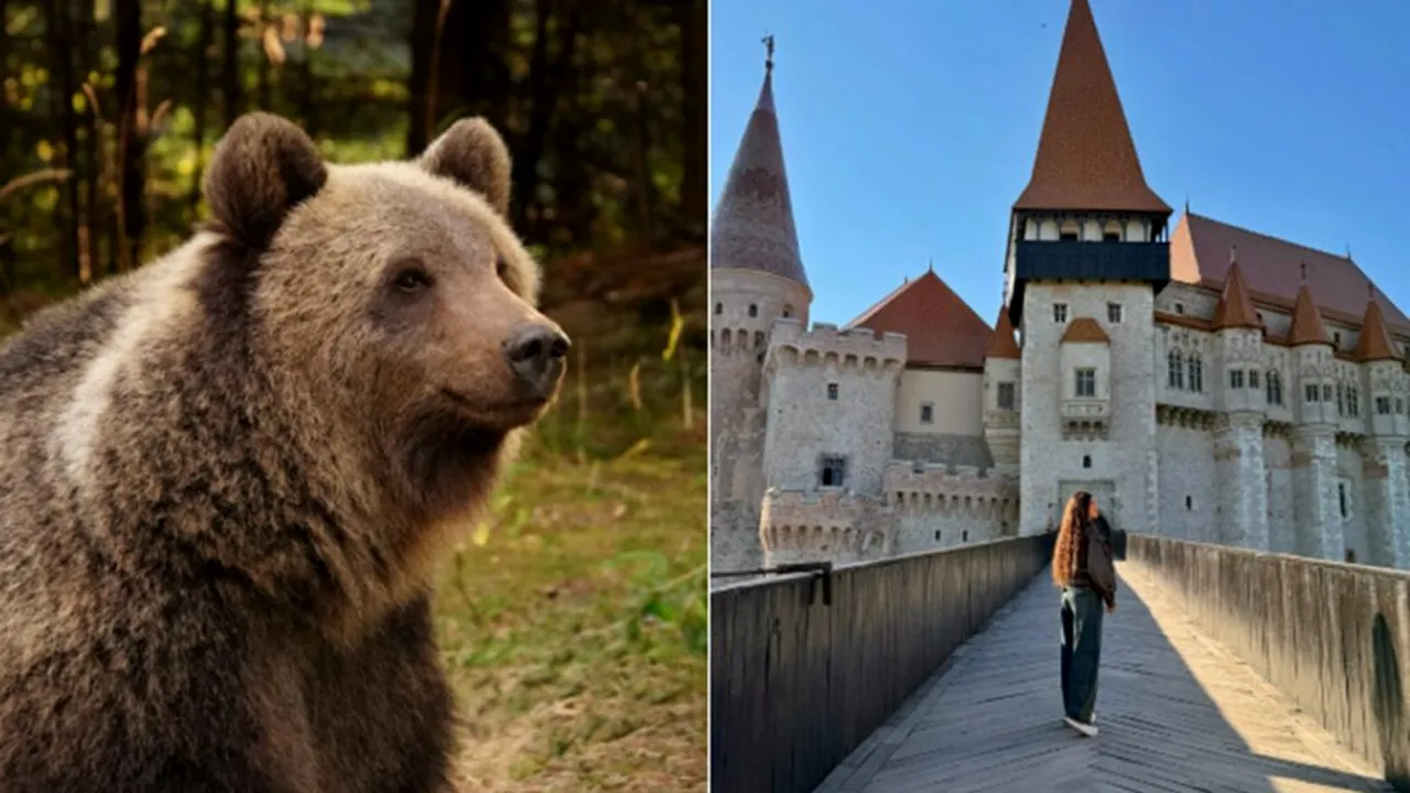 „România pe care nu ți-o imaginezi”: un travel blogger italian le recomandă italienilor Transfăgărășanul