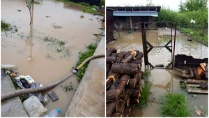 ALERTĂ METEO: Cod roşu de inundaţii în Timiş şi Caraş Severin/ Şuvoaiele au cuprins mai multe proprietăţi
