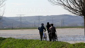 Apele Române: 500 ha teren agricol şi o fermă, inundate din cauzei unei breşe într-un dig pe Jiu