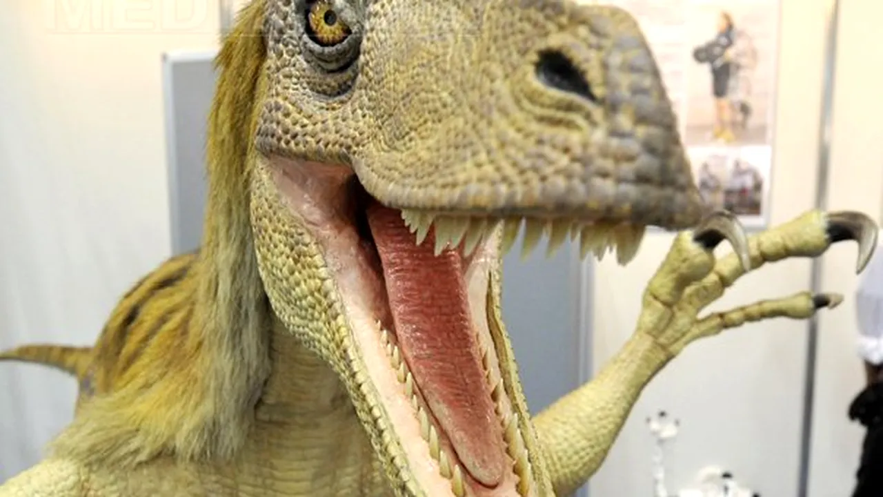 O nouă specie de velociraptor - Balaurul bondoc de România - VIDEO