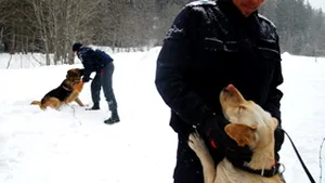 Romanian Gendarmerie To Use Dogs In Avalanche Search And Rescue
