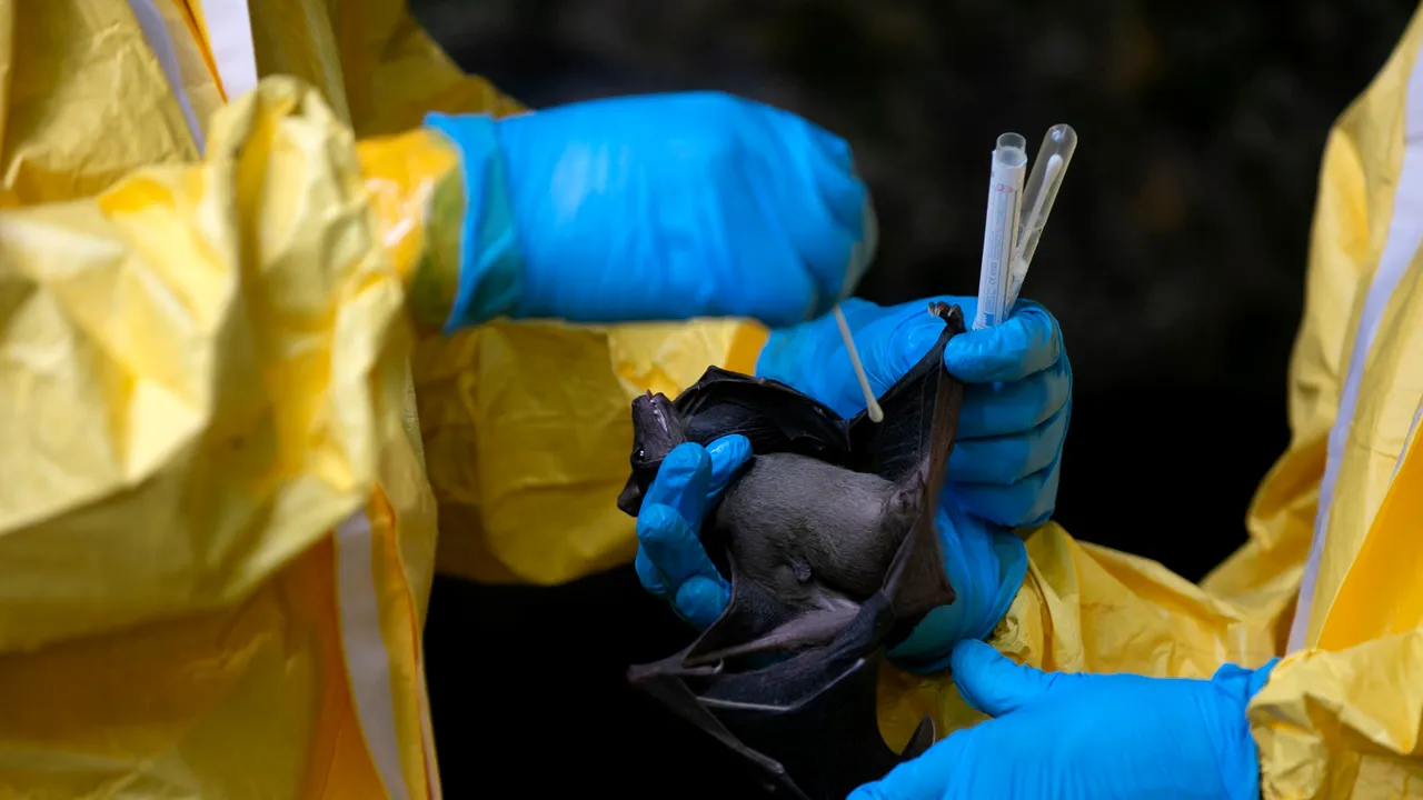 Bariera dintre specii, în dezechilibru din cauza activităţii umane: 800.000 de virusuri de origine animală se pot răspândi în lume
