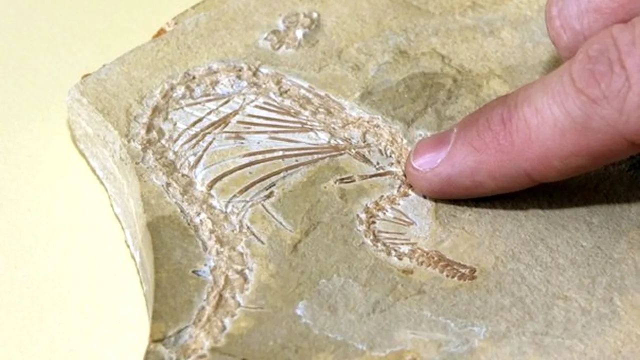 O verigă lipsă în evoluţia şerpilor, descoperită cu ajutorul unei tehnici imagistice 3D