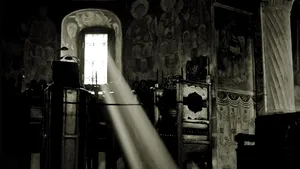 COMENTARIU Lelia Munteanu: Cuvintelnic