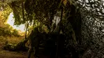 Washington Post: Un document arată cererile maximaliste ale Rusiei privind încetarea focului în Ucraina