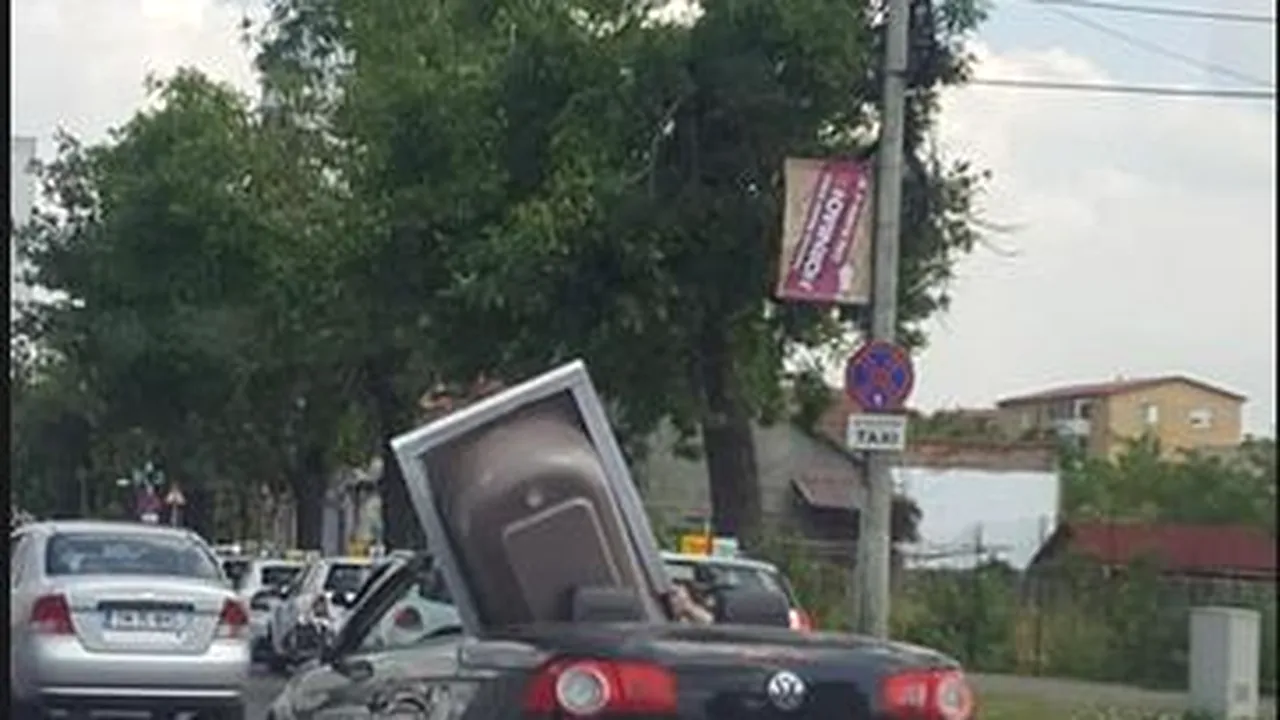 Cadă transportată într-o maşină decapotabilă, la Timişoara