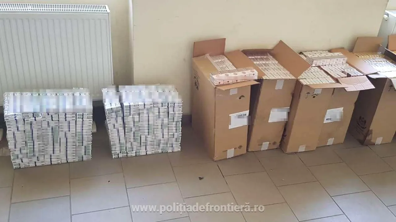 FOTO | Peste 10.000 pachete cu ţigări au fost confiscate la graniţa cu Ucraina