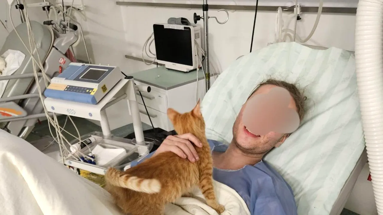 Refugiat din Harkov, salvat în Munţii Maramureşului, şi-a purtat pisica la piept timp de 11 zile