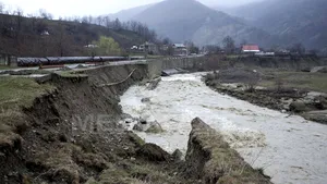 Lucia Varga: Inundaţiiile sunt cauzate de defrişările necontrolate