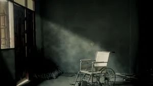 Guvernul va aloca 45 de milioane lei pentru realizarea unei platforme de gestionare a dosarelor tuturor persoanelor cu dizabilităţi