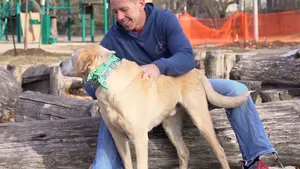 Gestul extrem al unui bărbat singur: este dispus să plătească o sumă generoasă. Propunerea include câteva reguli stricte