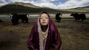 Cele mai bune fotografii de la premiile Sony World Photography Awards 2016 -  GALERIE FOTO