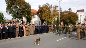 Văduva unui veteran de război, de 89 de ani, a venit din Brăila la Alba Iulia, pentru Ziua Armatei