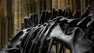 Oamenii de știință au reconstituit un cuib de dinozaur pentru a dezlega un mister vechi de 70 de milioane de ani