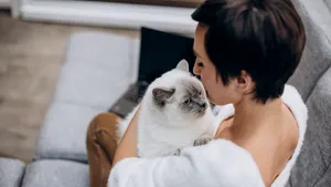 Ce simt pisicile când le pupi. Adevărul pe care mulți stăpâni nu vor să îl audă