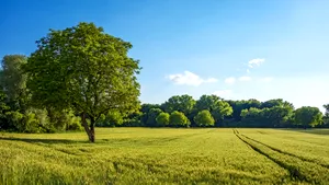 Gest radical la Botoşani: Tată şi fiu, în greva foamei, nemulţumiţi că nu li se concesionează o păşune 