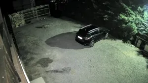 Cățelușa mătușii lui Costin Ștucan, atacată de un lup: „N-am văzut în viața mea așa ceva”