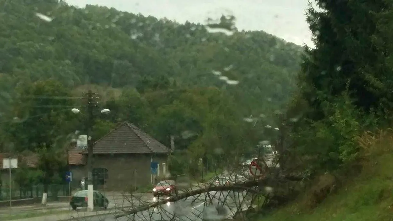 Bilanţ TRAGIC al furtunilor din ţară: Opt persoane au murit, ucise de obiectele smulse de vânt şi 137 au fost rănite/ Dosar penal în cazul morţii tânărului strivit de o poartă după vijelia din Timişoara