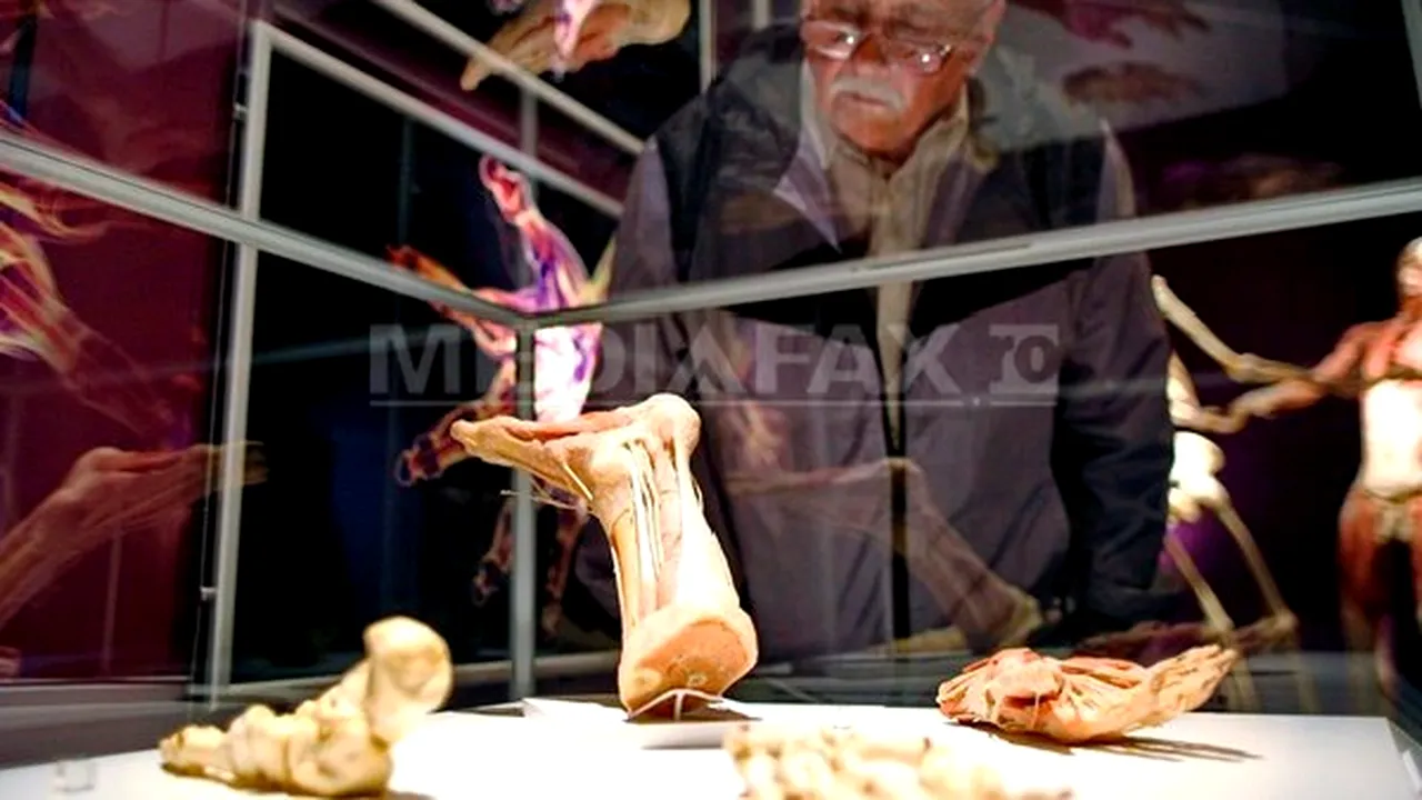 Prima expoziţie permanentă a unor corpuri umane disecate şi plastifiate, deschisă la Berlin