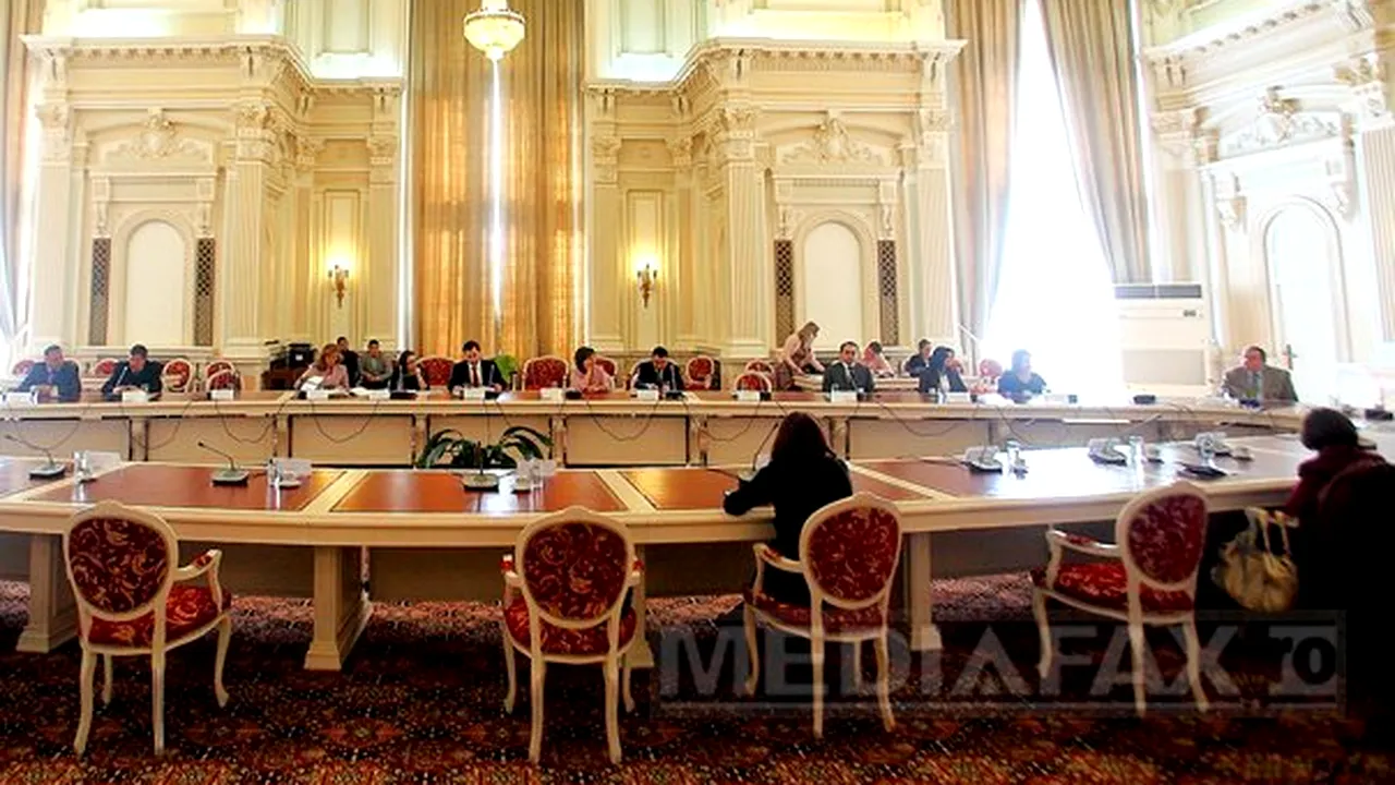 Senatorii din Comisia juridică au validat numirea a trei membri în Consiliul Naţional de Integritate
