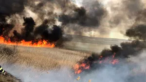 Un incendiu masiv de stuf şi vegetaţie a izbucnit în Tulcea | GALERIE FOTO