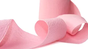 Toaletă de lux de 40.000 de dolari, construită exclusiv pentru o prinţesă thailandeză