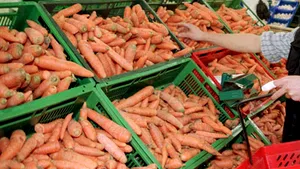 Castraveţii curbaţi şi morcovii noduroşi vor putea fi vânduţi fără restricţii în UE