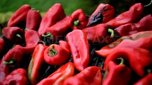 Ce au mâncat oamenii în anul pandemic 2021. Topul alimentelor preferate 