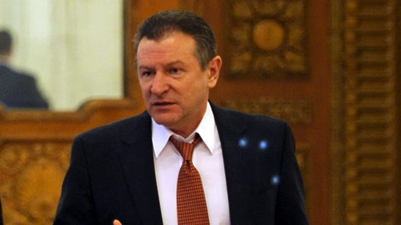 Berceanu: O ordine de zi nu poate fi sau nu constituţională, ea se supune la vot şi atât