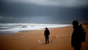Sute de păsări moarte, descoperite pe plajele din Franţa