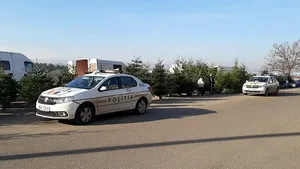 Peste 6.000 de pomi de Crăciun şi 10.000 de coroniţe de brad, confiscate de poliţişti. FOTO