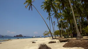 Presă: Mircea Popescu, miliardar în Bitcoin, a fost găsit mort în Costa Rica. Antreprenorul susţinea că este singurul om care a deţinut vreodată un milion de Bitcoini