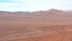 Balene în deşert! Care este explicaţia uneia dintre cele mai mari descoperiri - FOTO