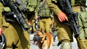 Povestea câinilor de atac pe care armata israeliană i-a trimis în Gaza