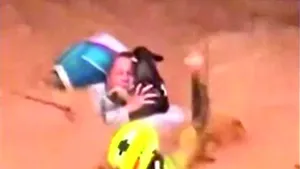 Spania. Autorităţile încearcă să adune cadavrele animalelor moarte în timpul inundaţiilor