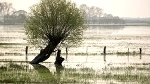 Cod portocaliu de inundații pe râuri din Satu Mare și Sălaj