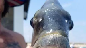 VIDEO Un peşte extrem de rar a fost prins în Statele Unite. Elementul care îl aseamănă cu omul