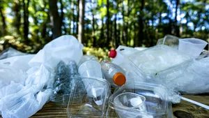 Plastic peste tot, boli peste tot: avertismentul cercetătorilor pentru următorii 15 ani