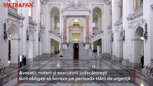 Avocaţii, notarii şi executorii sunt obligaţi să lucreze pe perioada stării de urgenţă. Ce riscă dacă îşi suspendă activitatea
