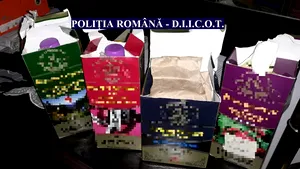 FOTO | Droguri din China, descoperite la Constanţa. Zece persoane au fost arestate